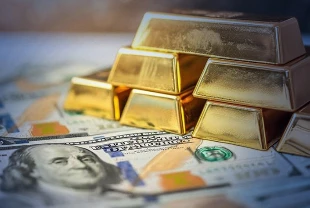 Merkez Bankası rezervleri arttı: Toplam rezervler 161,6 milyar dolar oldu