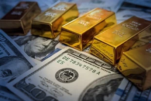 Merkez Bankası'nın resmi rezervleri açıklandı: 160,2 milyar dolar oldu
