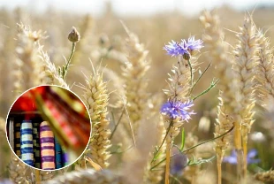 Moda sektörüne atıktan sürdürülebilir kumaş çözümü