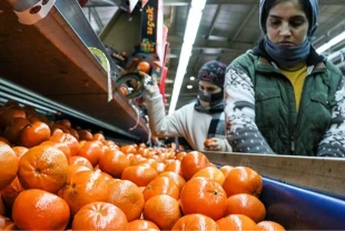 Narenciye ihracatı 2025'te Türkiye'ye 1,48 milyar dolar kazandırdı