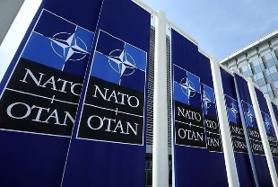 NATO'dan firmalara çağrı: 400 bin euroya kadar hibe verilecek
