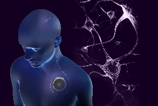 Neuralink'e rakip: Paradromics ilk insan testini gerçekleştirdi