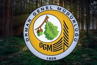 OGM PERSONEL ALIMI ŞARTLARI| Orman Genel Müdürlüğü 496 sözleşmeli personel alımı ne zaman?