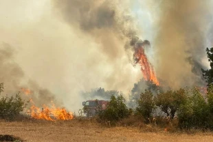 OGM'den yangın uyarısı: Bir anlık dikkatsizlik afete neden olabilir