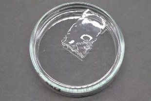 Okyanusta çözünen zararsız yeni nesil plastik