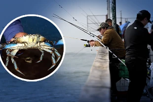 Oltasını alan sahile gitti! Kovalardakiler görenleri şaşırttı