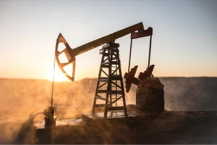OPEC+ muslukları açtı: Petrol fiyatları geriliyor