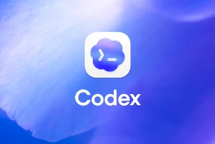 OpenAI’den, Codex için yazılımcılara özel pro abonelik paketi