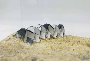 Origami robotlar, manyetik 'kaslar'la tıpta devrim yapacak