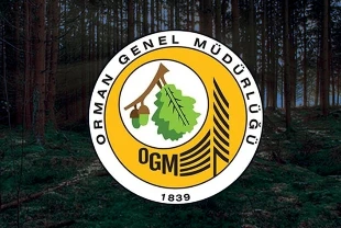 ORMAN GENEL MÜDÜRLÜĞÜ PERSONEL ALIMI SON DAKİKA: 496 sözleşmeli personel alınacak! Başvurular yarın başlıyor