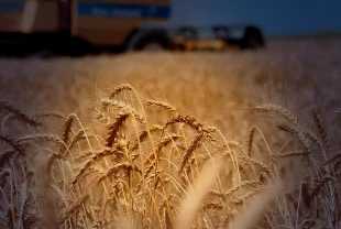 Ortadoğu'dan savaşın uzayacağı endişesi tarımsal emtiayı vurdu