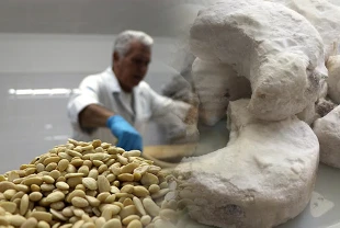 Osmanlı tatları bayram için hazırlanıyor! 24 saat üretim sürüyor