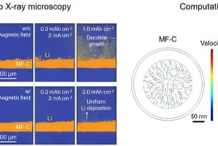 Otomotiv sektörünü dönüştürecek güvenli ve yüksek kapasite pil teknolojisi
