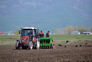 Ovalara ekilmek üzere 29 bine yakın fidan ve tohum verildi