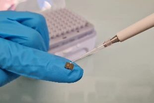 Pil teknolojilerinin geleceği: Genetiği değiştirilmiş iletken proteinler