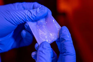 Plastiğin yerini alacak süper güçlü bakteri selülozu geliştirildi
