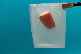 Plastik kadar dayanıklı doğada çözünen yeni nesil biyoplastik