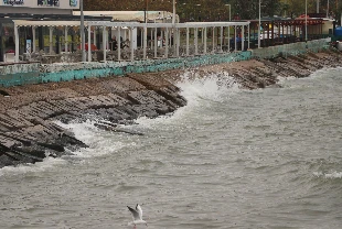 Poyraz Tekirdağ’da deniz ulaşımını zorluyor