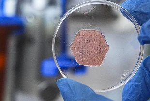 Probiyotik içeren yeni nesil yara örtüsü geliştirildi