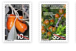 PTT yeni posta pulunu kullanıma sundu