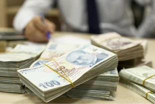 Resmi Gazete’de yayımlandı: Hazine destekli kredilere düzenleme