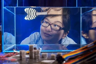 Robotikte 'lego' devrimi: Sertliği programlanabilen akıllı bloklar