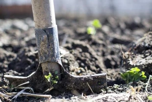 Rusya kükürt ihracat yasağını 30 Haziran’a uzattı