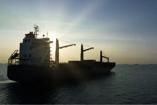 Rusya’dan 'gölge filo' hamlesi: Silahlı deniz devriyesi planı