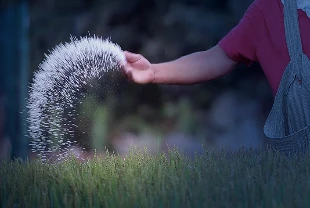 Rusya'dan gübre kararı: İhracat kısıtlamasını yıl sonuna uzattı