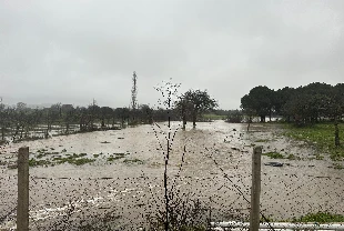 Sağanak yağış nedeniyle köy yollarında çökme meydana geldi