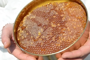 Sahte bala karşı yeni önlem: Temel petek denetimi geliyor