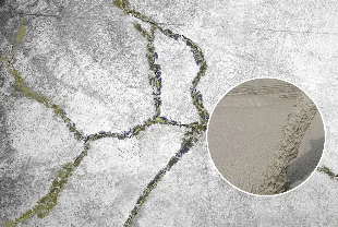 Sentetik likenle kendi kendini onaran beton geliştirildi