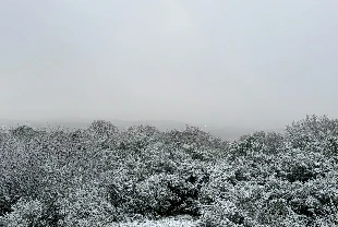 Sıcaklık düştü kar yağışı başladı: İstanbul'dan kar manzaraları