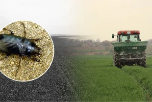 Sıcaklıklar artıyor! Tarım zararlıları gün yüzüne çıkıyor