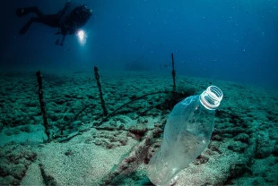 Sıfır Atık Mavi Hareketi büyüyor: Denizlerden 325 bin ton atık çıkarıldı