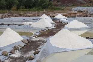 Sivas’ın mineral zengini ‘esmer tuzu’ Japon mutfaklarına ulaşıyor