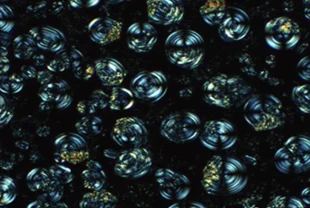 Sızıntı ve yangın riskine son: Katı hal pillerinde sıvı hızında iyon transferi