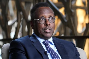 Somalili bakandan Türkiye'ye övgü: Afrika Boynuzu'nda istikrarın güvenilir ortağı
