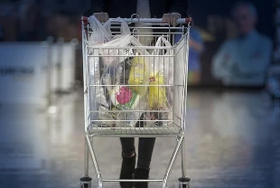 SON DAKİKA: 2025 yıl sonu enflasyon beklentisi belli oldu! Merkez Bankası açıkladı