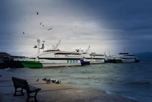 SON DAKİKA | Bursa'ya gidecekler dikkat! BUDO bazı seferlerini iptal etti