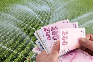 SON DAKİKA: Çiftçileri sevindiren haber! Bugün 306 milyon liralık destek ödemesi yapılıyor