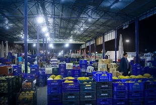 SON DAKİKA: Hal yasası Meclis'e geliyor: Fiyat makasını daraltacak hamle