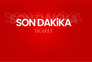 SON DAKİKA: İşsizlik oranında büyük düşüş: 7,9'a geriledi