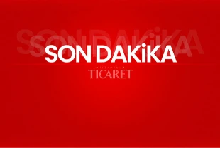 SON DAKİKA | Sağlık Bakanlığı'ndan 'hantavirüs' açıklaması: Pozitif vaka tespit edilmedi