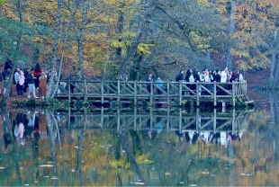 Sonbahar renklerine bürünen 'orman denizi' Yedigöller'de ziyaretçi yoğunluğu