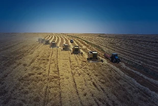 Şubat ayı tarım ÜFE verileri açıklandı: Üç ayın en düşük seviyesinde