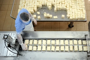 Süt sektörü sanayi odaklı üretimle büyüyecek