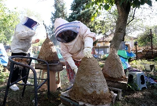 Talebe yetişemiyor: Kilosu 1750 liradan satışa sunuluyor