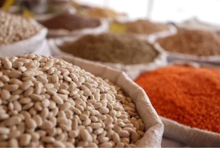 Tarım, gıda ve içecekten 11 ayda 24,79 milyar dolar ihracat: Şekerli mamuller zirvede