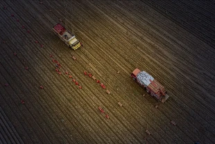 Tarım sezonuna kurak başlangıç: Yağışlar yüzde 19 azaldı